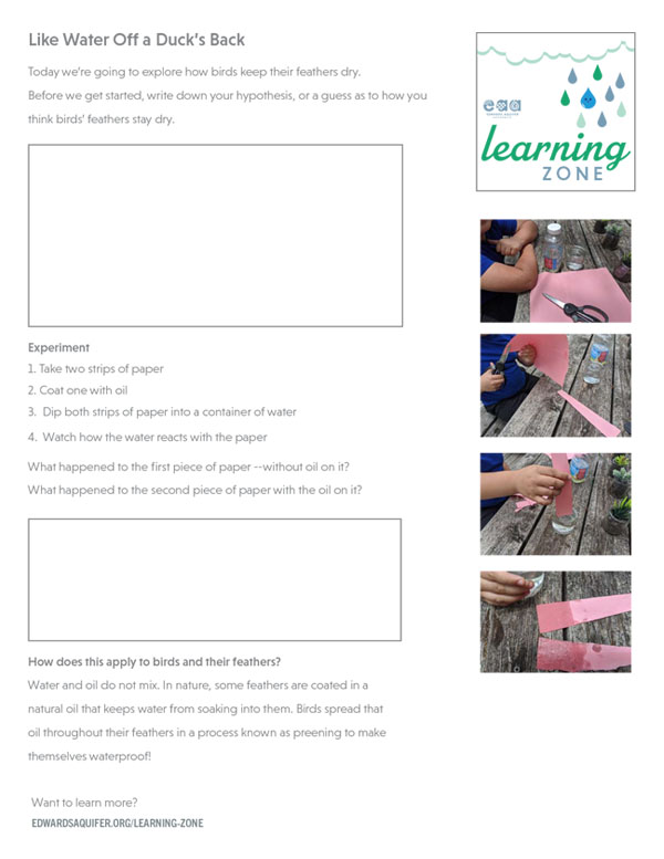 Like Water Off a Ducks Back