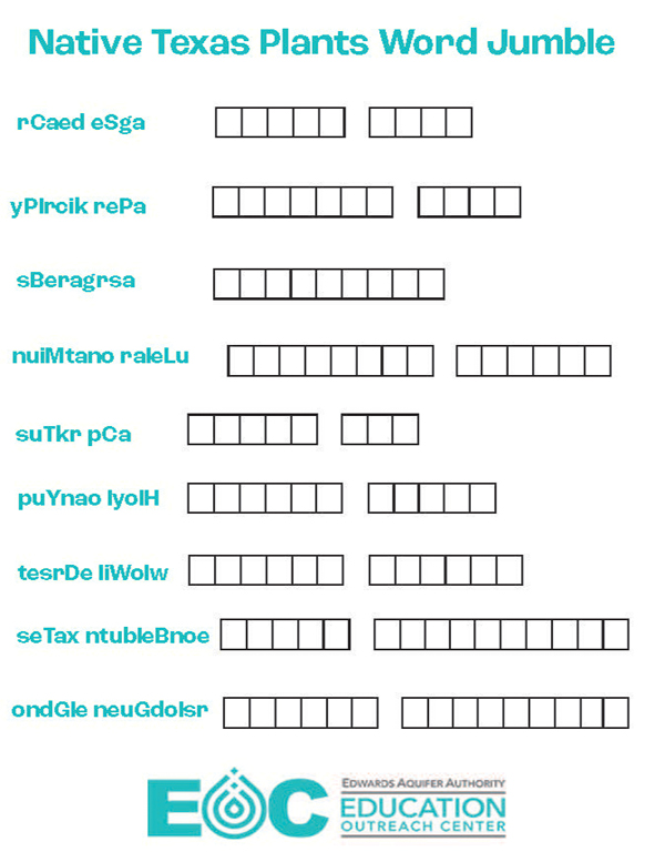 Explore The Aquifer Word Search