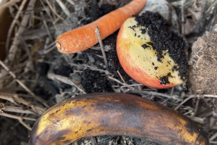 How Composting Works