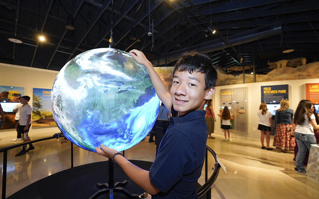 Global Perspective Display