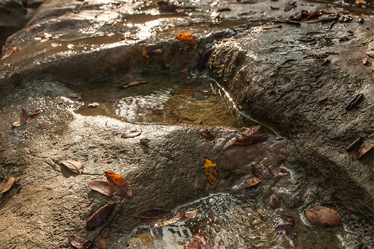 Spring Lake Preserve San Marcos